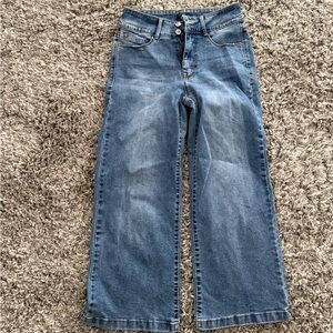 Echo Denim High-Rise Wide Leg Jeans